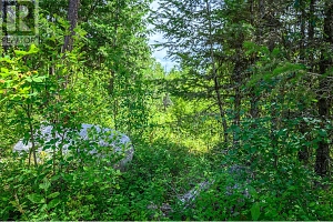 7929 Aspen Road - Photo 14