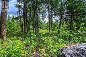 7929 Aspen Road - Photo 15