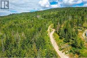 7929 Aspen Road - Photo 17