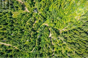 7929 Aspen Road - Photo 23