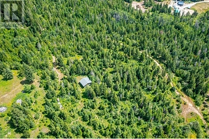 7929 Aspen Road - Photo 25