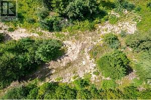 7928 Aspen Road - Photo 10