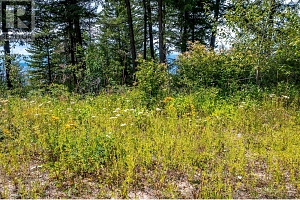 7928 Aspen Road - Photo 11