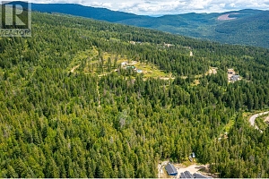 7928 Aspen Road - Photo 5