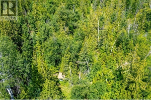 7928 Aspen Road - Photo 6