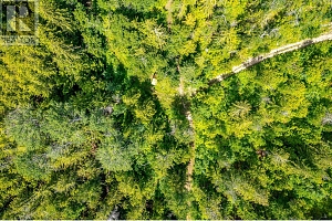 7928 Aspen Road - Photo 7