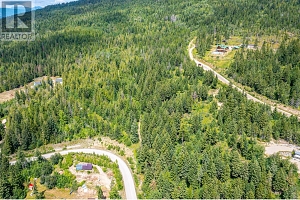 7928 Aspen Road - Photo 8