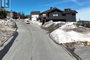 534 Feathertop Way Lot# 57 - Photo 10