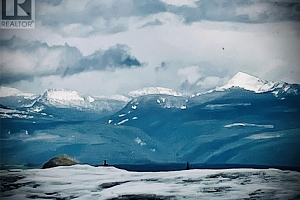 534 Feathertop Way Lot# 57 - Photo 11