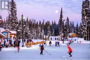 534 Feathertop Way Lot# 57 - Photo 16