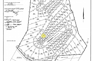 534 Feathertop Way Lot# 57 - Photo 4