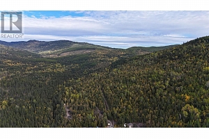 7468 Dixon Dam Road - Photo 10