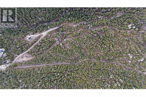 7468 Dixon Dam Road - Photo 13