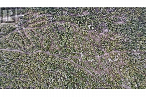 7468 Dixon Dam Road - Photo 14