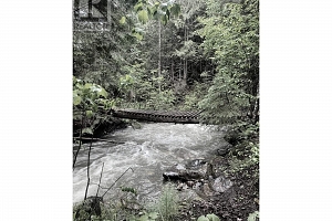 7468 Dixon Dam Road - Photo 15