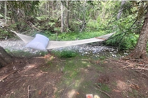 7468 Dixon Dam Road - Photo 16