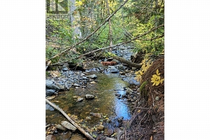 7468 Dixon Dam Road - Photo 17