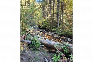 7468 Dixon Dam Road - Photo 18