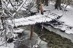 7468 Dixon Dam Road - Photo 19