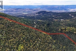 7468 Dixon Dam Road - Photo 2