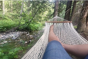 7468 Dixon Dam Road - Photo 21