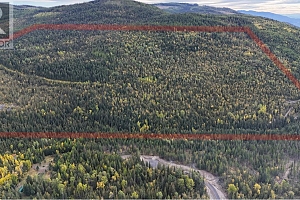 7468 Dixon Dam Road - Photo 3