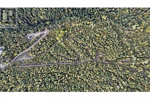 7468 Dixon Dam Road - Photo 4