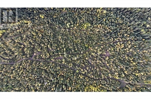 7468 Dixon Dam Road - Photo 6