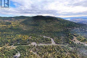 7468 Dixon Dam Road - Photo 7