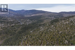 7468 Dixon Dam Road - Photo 9