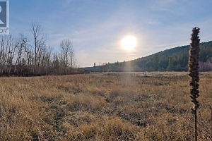 10859 Clifford Road - Photo 12