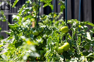 2500 39 Avenue - Photo 51