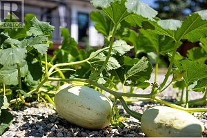 2500 39 Avenue - Photo 53