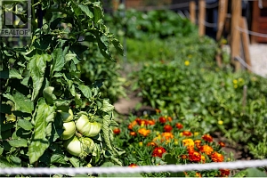 2500 39 Avenue - Photo 54