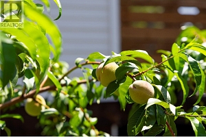 2500 39 Avenue - Photo 57