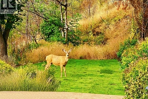 1084 Westside Road S - Photo 33