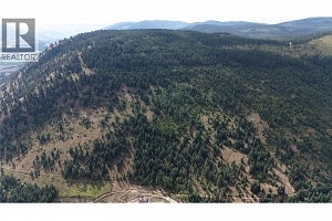 Lot 1 & 2 Gibson Road - Photo 11