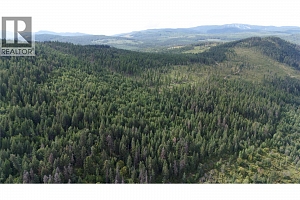 Lot 1 & 2 Gibson Road - Photo 13