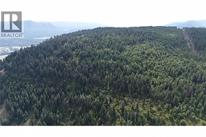 Lot 1 & 2 Gibson Road - Photo 14