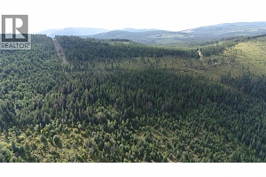 Lot 1 & 2 Gibson Road - Photo 15