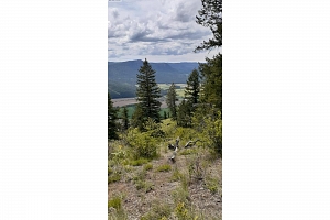 Lot 1 & 2 Gibson Road - Photo 16