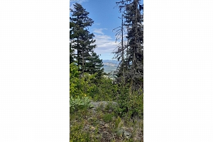 Lot 1 & 2 Gibson Road - Photo 17