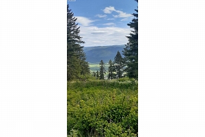 Lot 1 & 2 Gibson Road - Photo 19