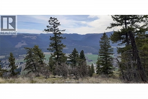 Lot 1 & 2 Gibson Road - Photo 20