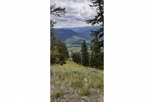 Lot 1 & 2 Gibson Road - Photo 21