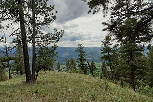 Lot 1 & 2 Gibson Road - Photo 25