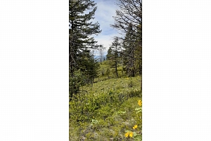 Lot 1 & 2 Gibson Road - Photo 26