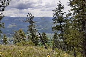 Lot 1 & 2 Gibson Road - Photo 27