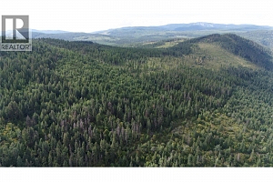 Lot 1 & 2 Gibson Road - Photo 4