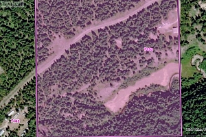 7250 China Valley Road - Photo 41